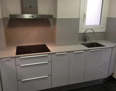 Reforma Integral de Vivienda en Av. Madrid, Barcelona